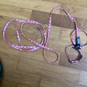 Kitten Leash and Harness